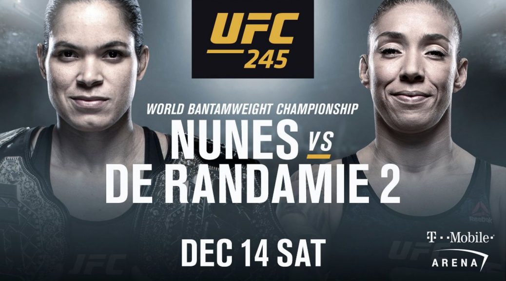 UFC 245 Amanda Nunes VS Germaine de Randamie